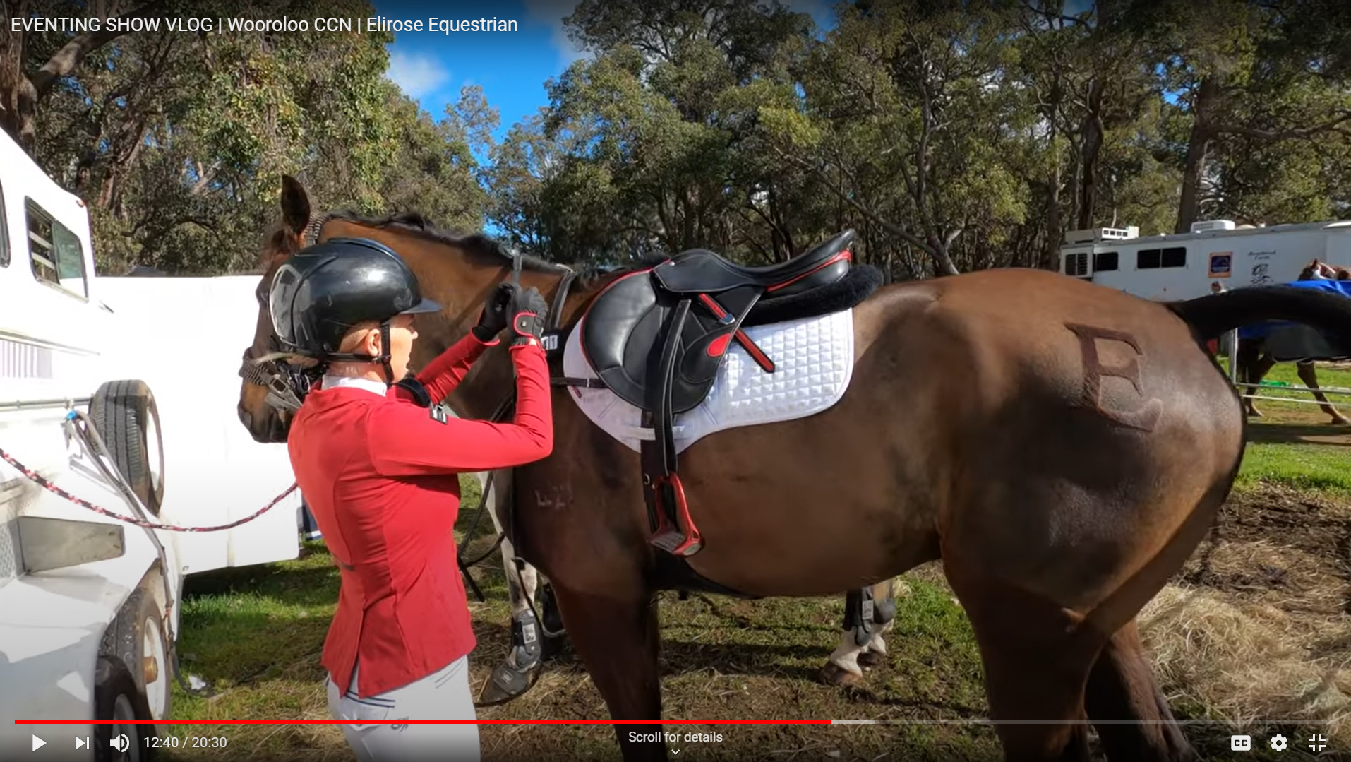 A very relatable eventer journey at only their second 3DE together